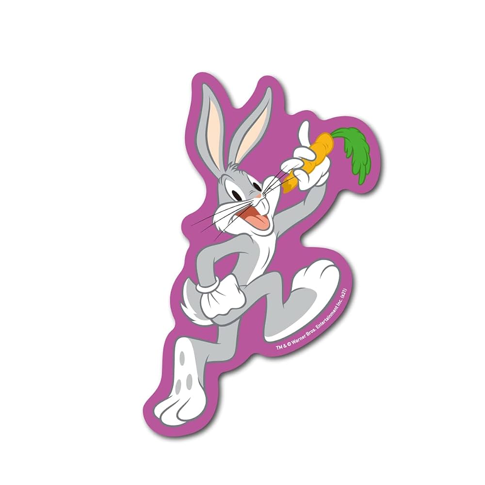 ヴィンテージ品　ルーニーテューンズ　LOONEY TUNES ハンガー 70)LOONEY TUNES 2WAYワッペン (ワイリー・コヨーテ) 商品番号